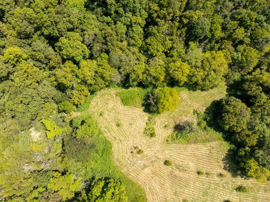 4125 Dry Creek Rd, Celina, TN 38551 - #2