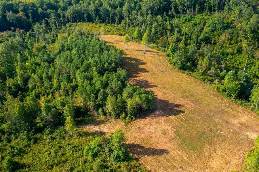 0 Kro Hollow Rd, Hohenwald, TN 38462 - Image #2