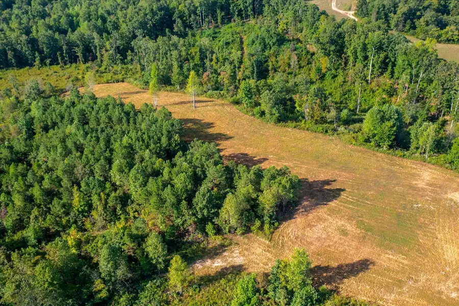 0 Kro Hollow Rd, Hohenwald, TN 38462 - Image #3