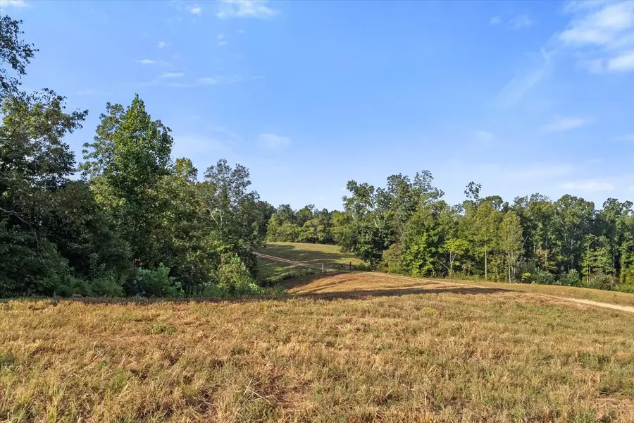 0 Kro Hollow Rd, Hohenwald, TN 38462 - Image #3