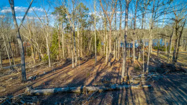 0 Beach Road, Spring City, TN 37381