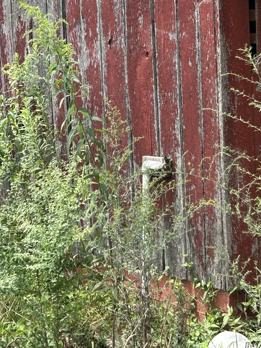 740 Moores College Rd, Smithville, TN 37166 - Image #3