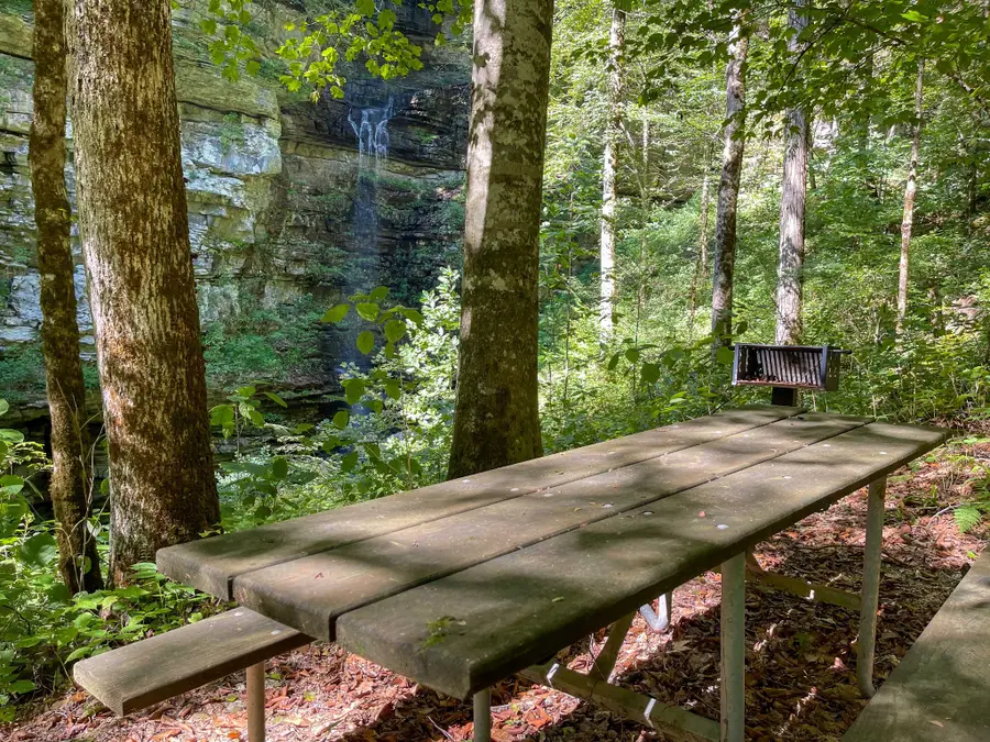 15341 Crossville Hwy, Monterey, TN 38574 - Image #3