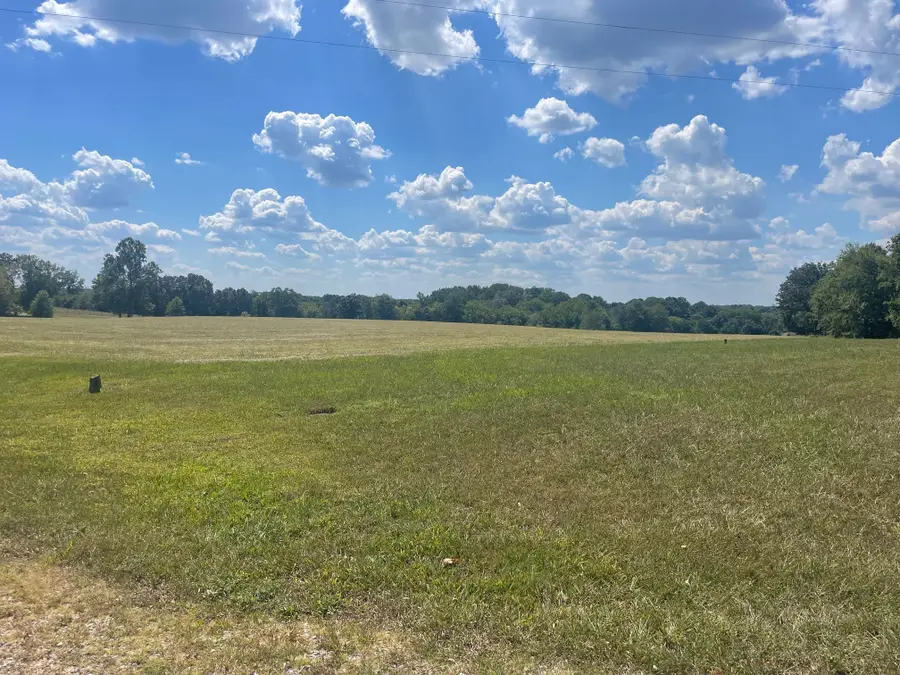 1266 Old Buck Creek Rd, Adolphus, KY 42120 - Image #3