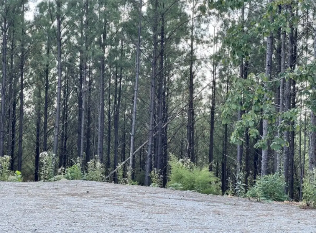 149 Highland Dr, Linden, TN 37096 - Image #1