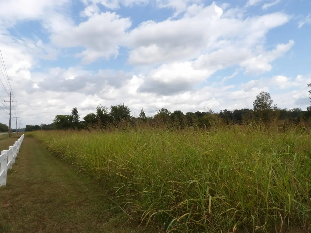 0 Highway 70 East, Waverly, TN 37185 - Image #1