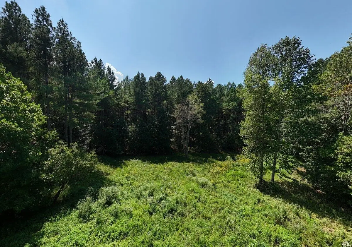 0 Melody Drive, Guild, TN 37340 - Image #1