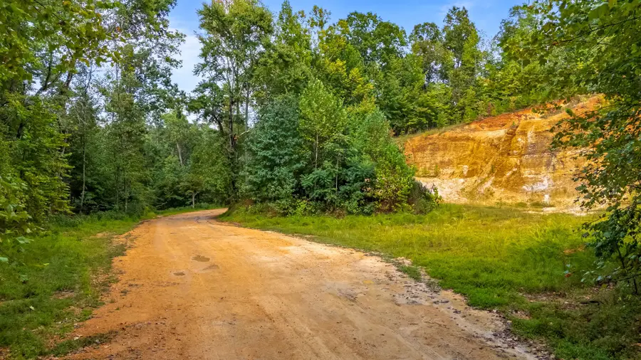 0 Baptist Branch Rd E, Mount Pleasant, TN 38474 - #2