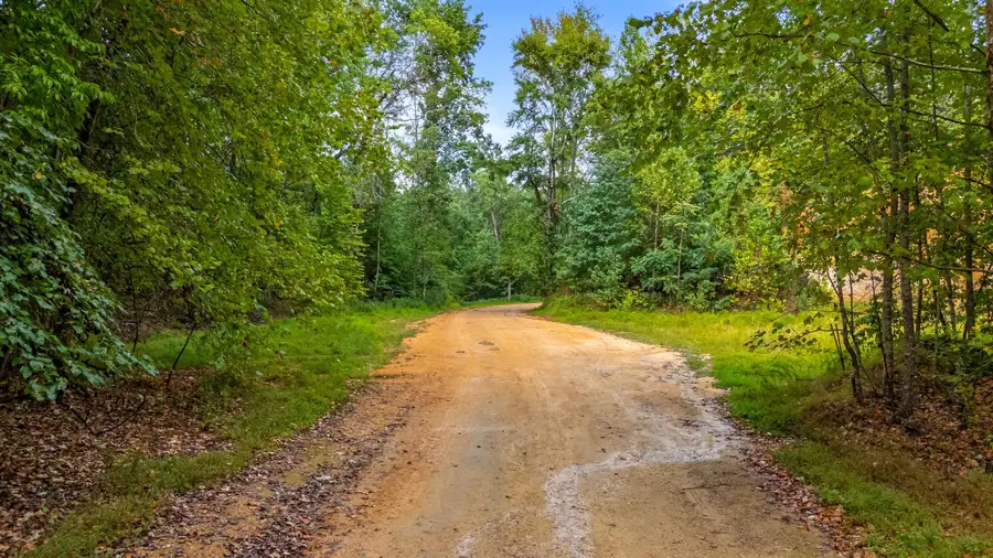 0 Baptist Branch Rd E, Mount Pleasant, TN 38474 - #3