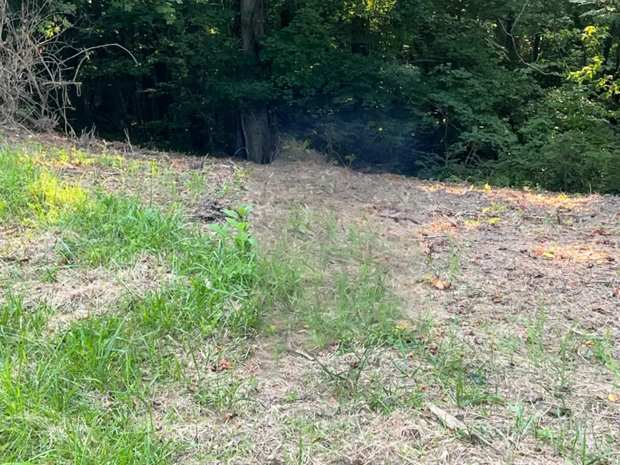 2 Jarrell Ridge Rd, Clarksville, TN 37043 - #2