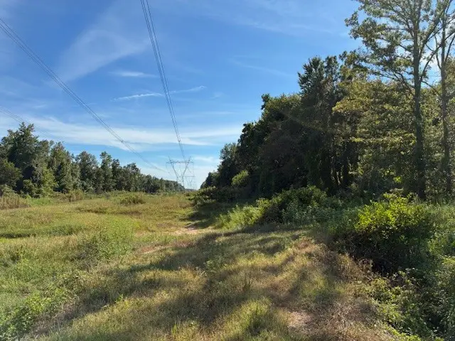 13197 Johnson Grove Rd, Halls, TN 38040 - Image #1