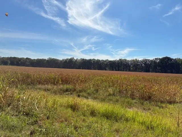 13197 Johnson Grove Rd, Halls, TN 38040 - Image #3