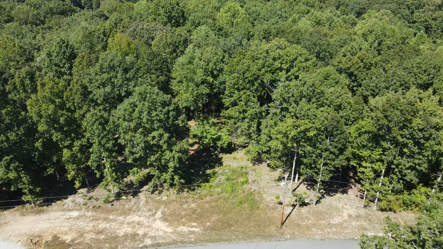 0 Mayne Trace Rd, Waverly, TN 37185 - Image #2