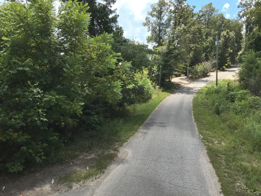 0 Ridgeway Dr, Sugar Tree, TN 38380 - Image #2