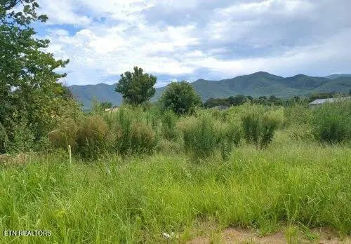 290 Bill Mauk Rd, Chuckey, TN 37641 - Image #1