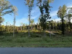 0 Jones Creek Rd, White Bluff, TN 37187 - Image #3