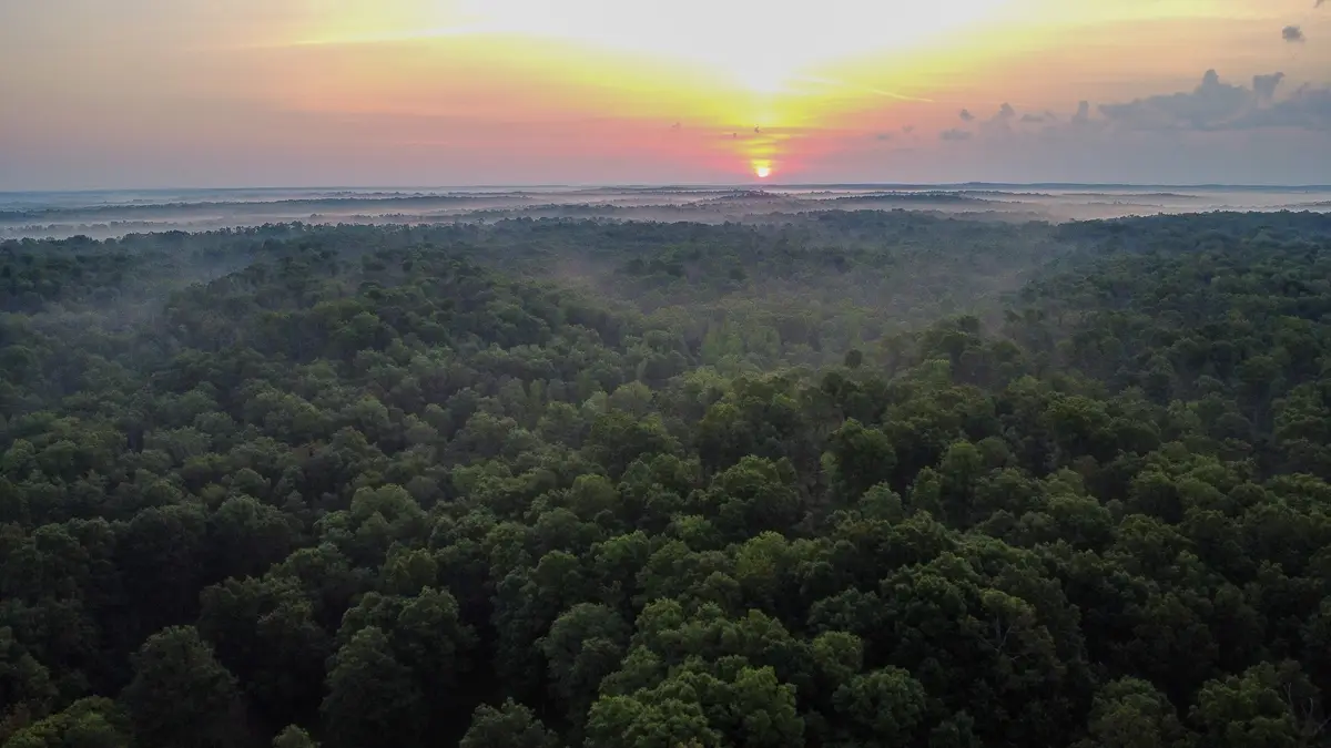 0 Highway 230, Mc Ewen, TN 37101 - Image #1