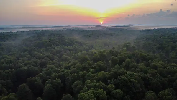 0 Highway 230, Mc Ewen, TN 37101