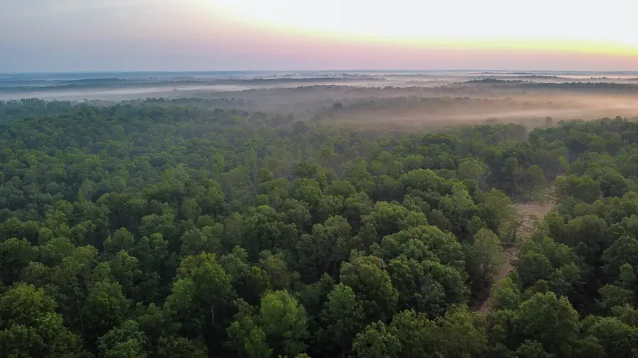 0 Highway 230, Mc Ewen, TN 37101 - Image #2