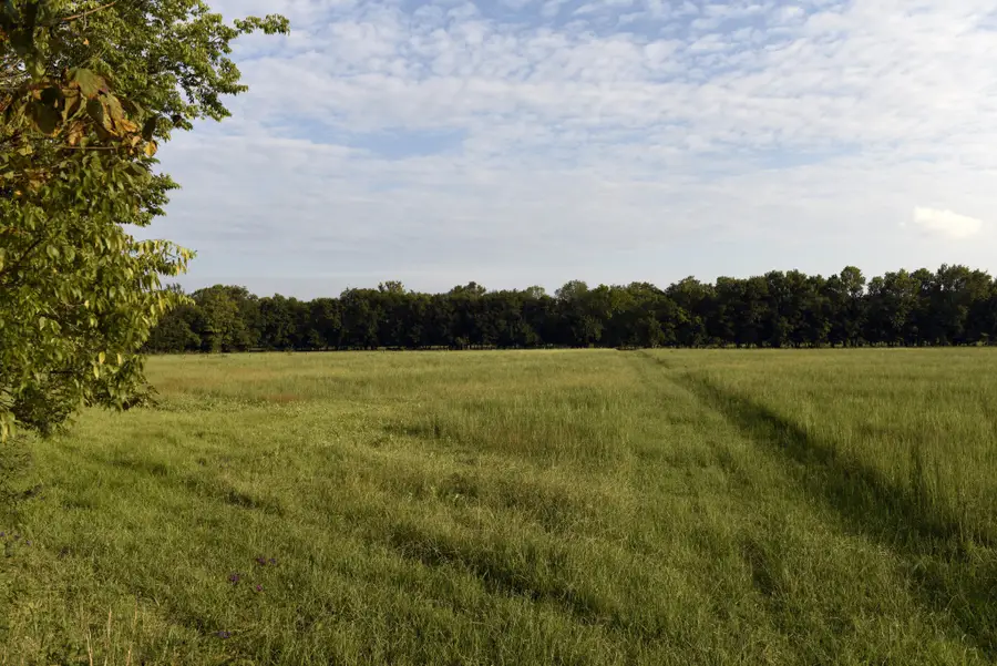 2081 Wilson Pike, Franklin, TN 37067 - Image #2