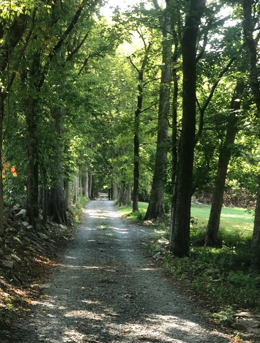 5542 Se Tater Peeler Rd, Lebanon, TN 37090 - Image #3