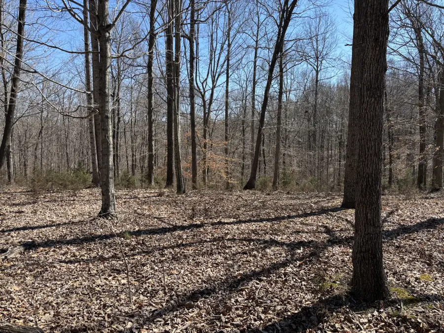 1475 Holland Road, Lafayette, TN 37083 - Image #3