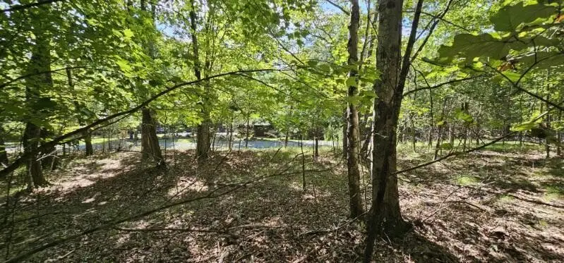 327 2 Lake Trl, Dunlap, TN 37327 - Image #2