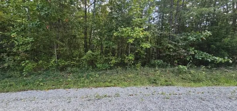 13 Bear Wallow Rd, Dunlap, TN 37327 - Image #3