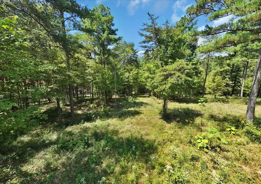 0 Musket Road, Guild, TN 37340 - Image #3