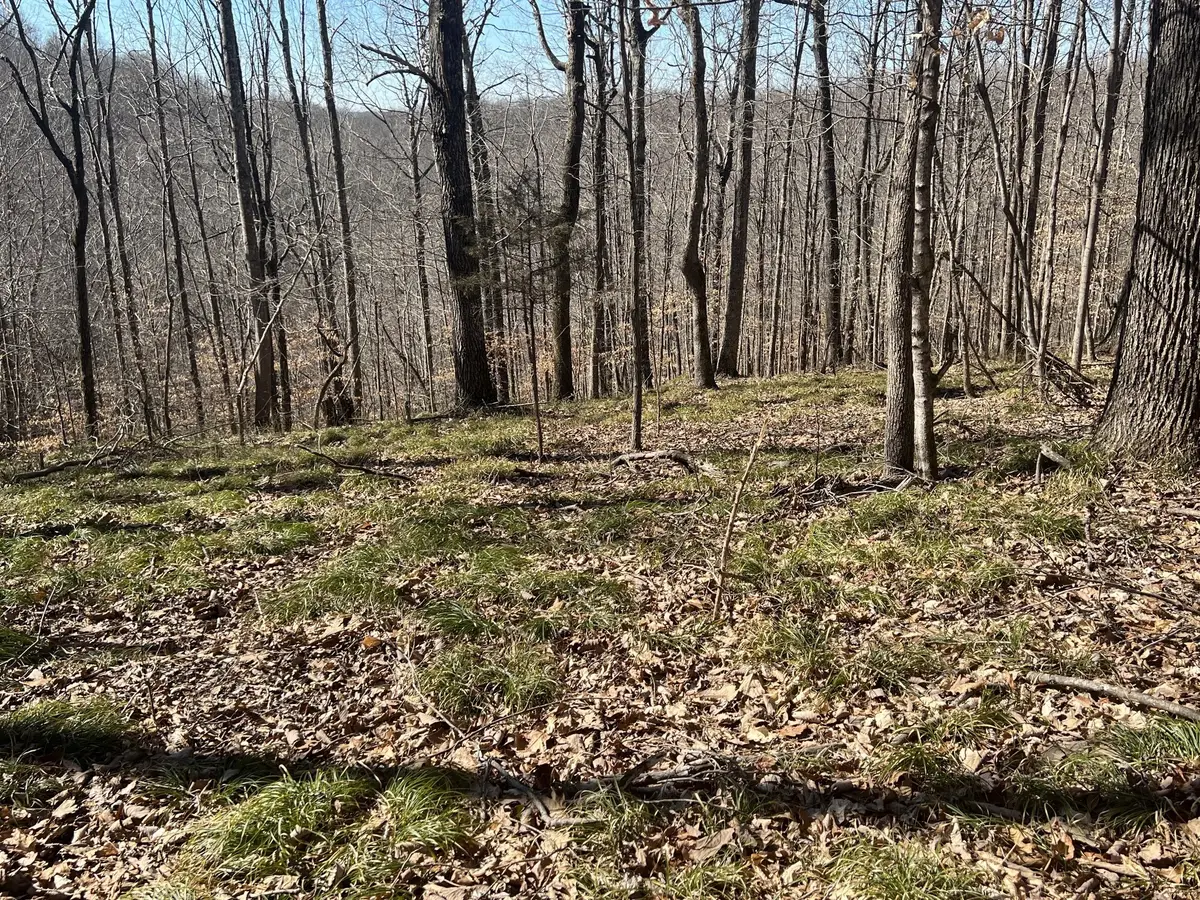 352 Kirby Hill Rd, Ashland City, TN 37015 - Image #1