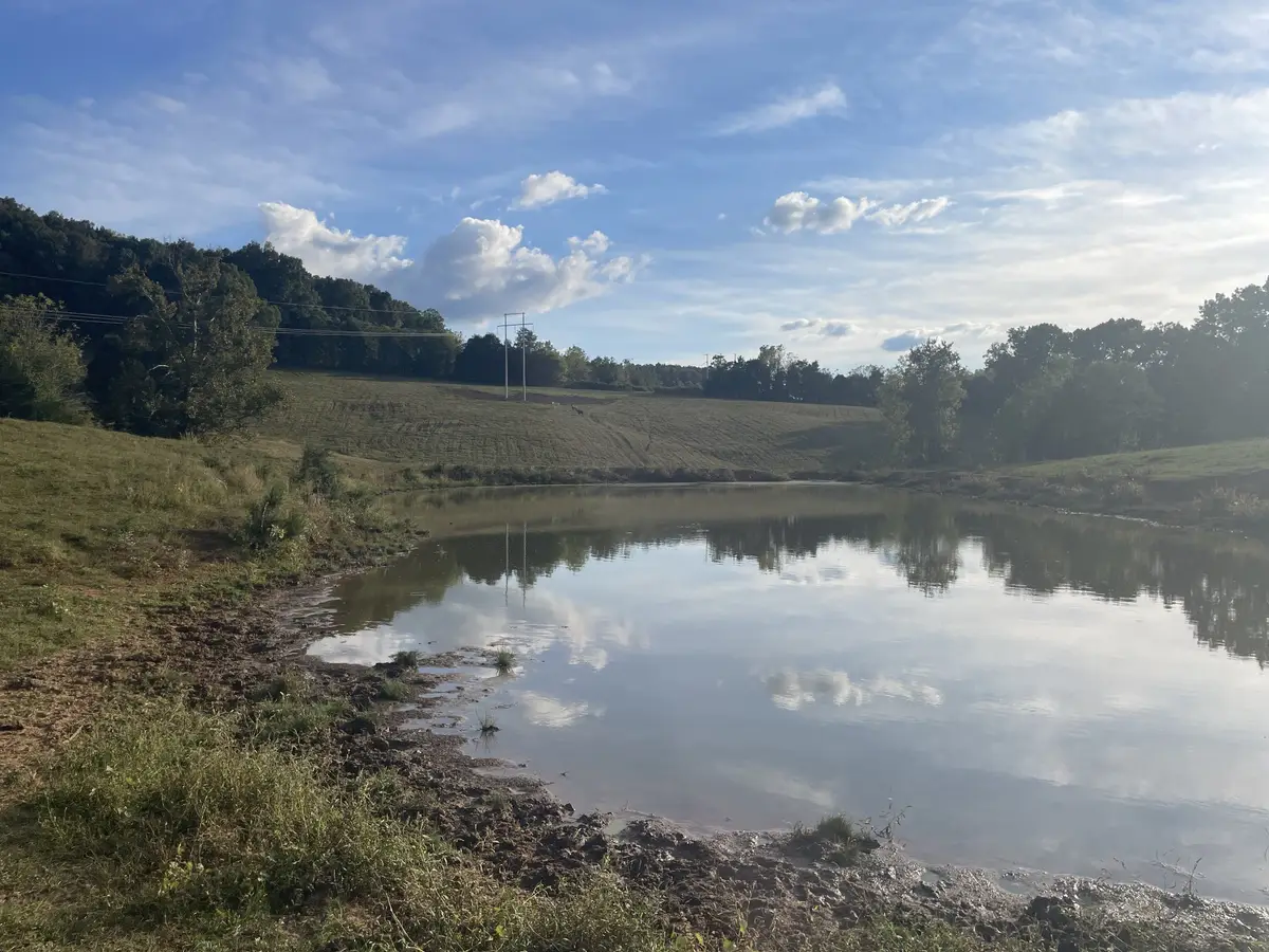 1380 Conrad Templeton Rd, Quebeck, TN 38579 - Image #1