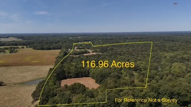 0 Cedar Grove Rd, Big Sandy, TN 38221 - Image #2