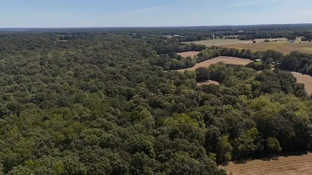 0 Cedar Grove Rd, Big Sandy, TN 38221 - Image #3