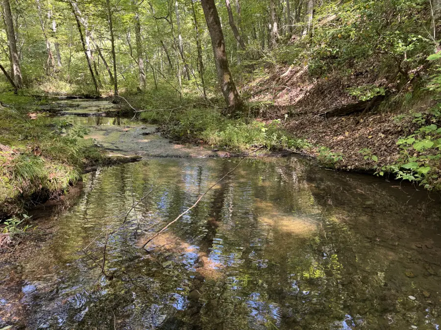 105 Sickler Road, Hohenwald, TN 38462 - Image #3