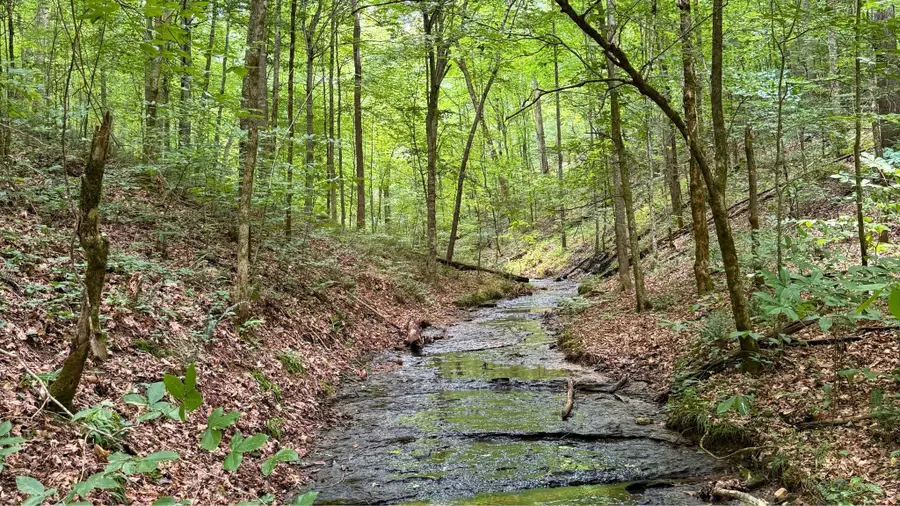 0 Biota Trail, Ashland City, TN 37015 - Image #2