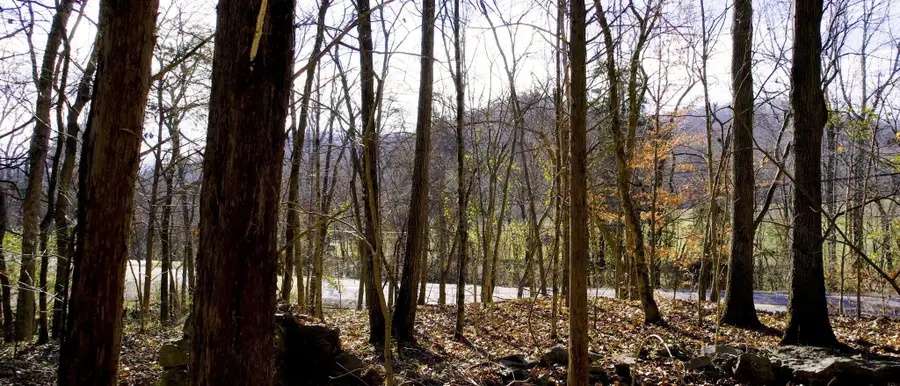 0 Whites Creek Pike, Whites Creek, TN 37189 - Image #3