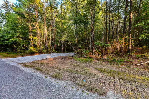 0 Brush Creek Rd, Hohenwald, TN 38462