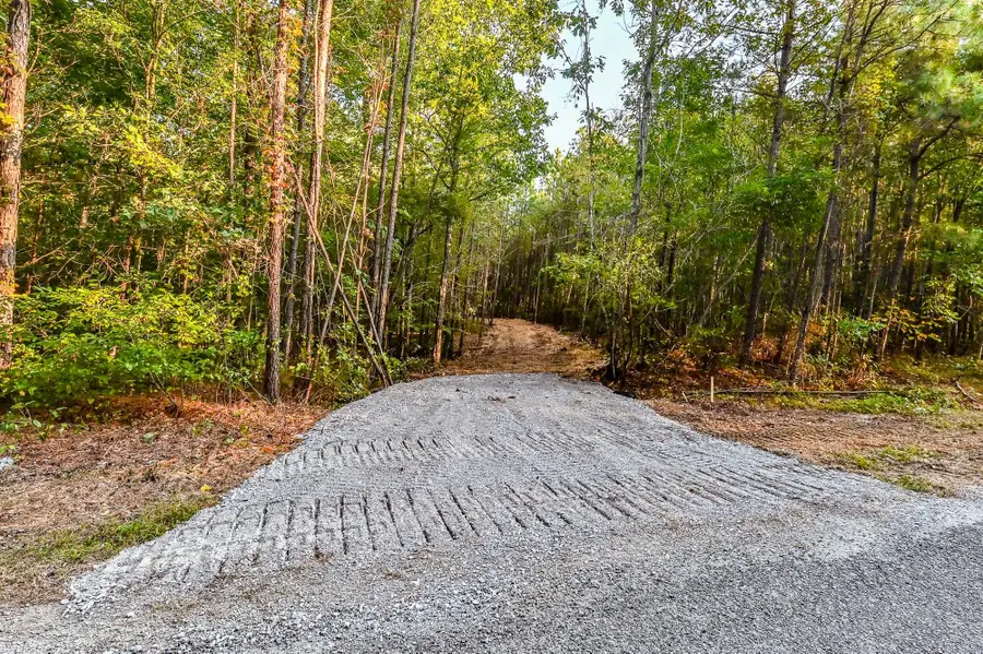 0 Brush Creek Rd, Hohenwald, TN 38462 - Image #2