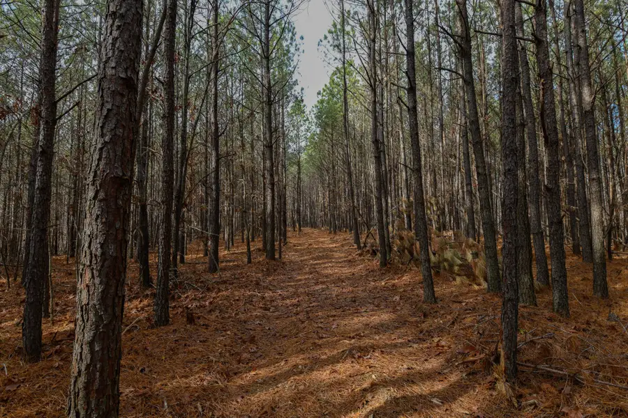 0 Brush Creek Rd, Hohenwald, TN 38462 - Image #3