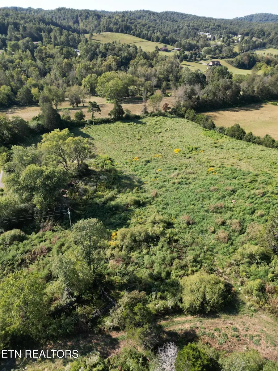 317 Singleton Hollow Rd, Speedwell, TN 37870 - Image #2