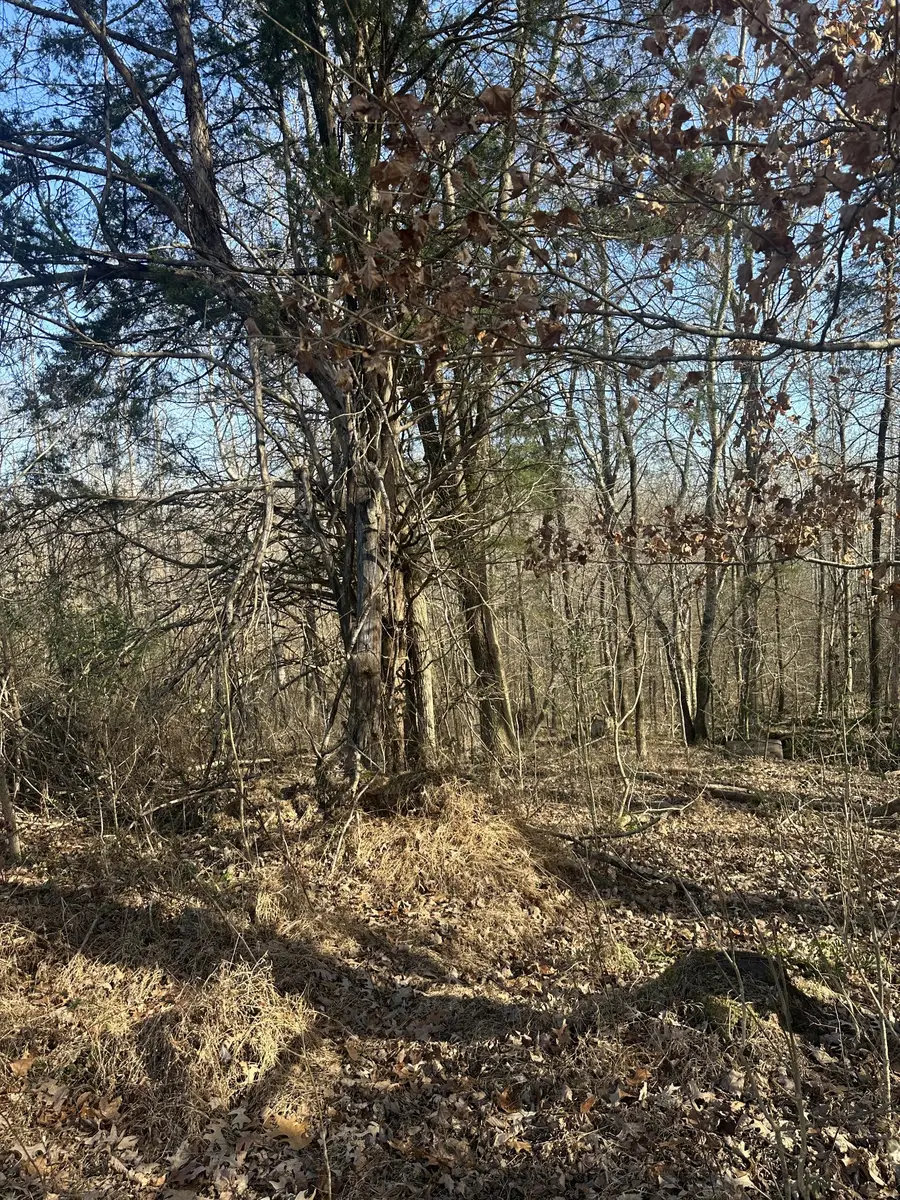 0 York Landing Rd, Woodlawn, TN 37191 - Image #3