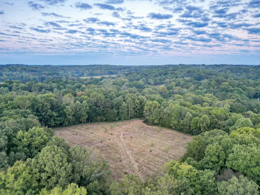 0 Shelter Branch Road, Charlotte, TN 37036 - Image #3