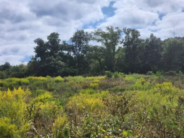 0 Anderson Rd, Byrdstown, TN 38549 - Image #3