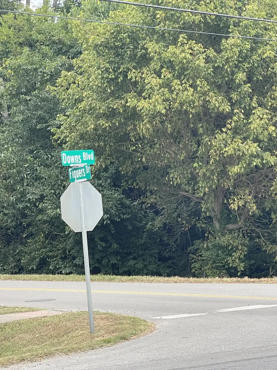 390 Downs Blvd, Franklin, TN 37064 - #2