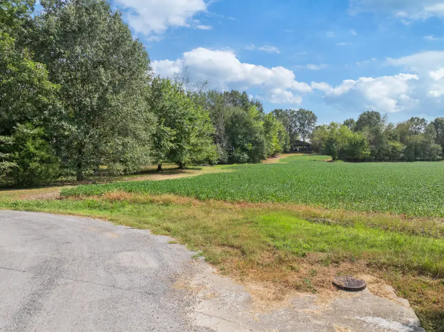 203 Peace And Harmony Road, Gleason, TN 38229 - Image #2