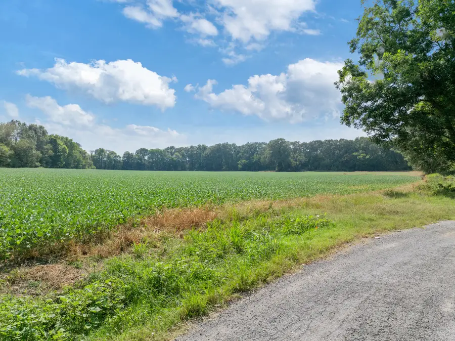 203 Peace And Harmony Road, Gleason, TN 38229 - Image #3