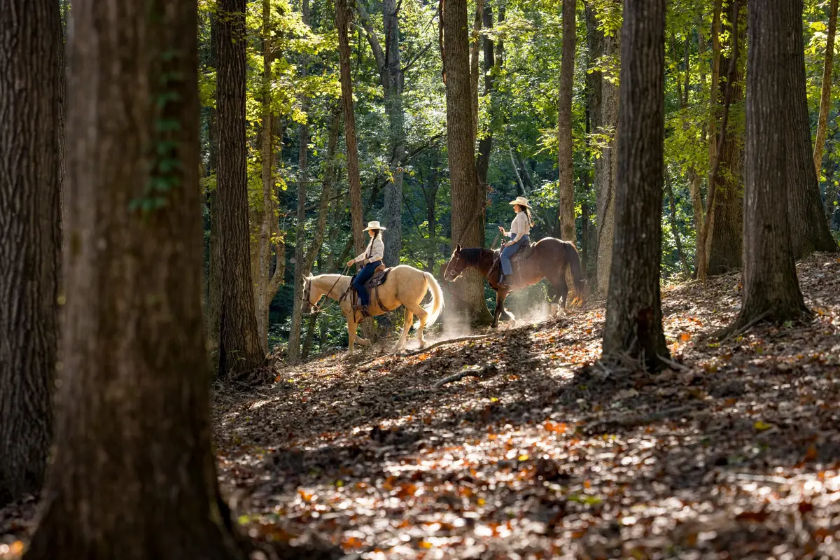 1520 Natchez Rd, Franklin, TN 37069 - Image #1