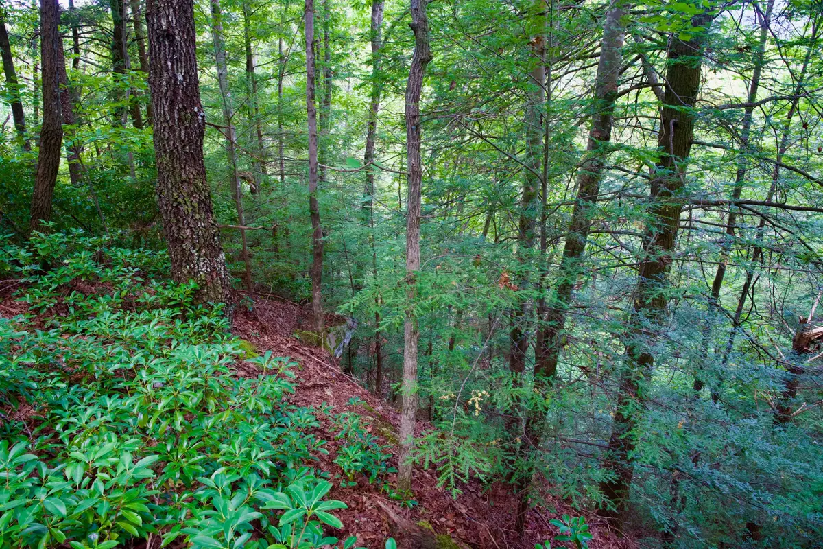 0 Fikes Field Rd & Greenfield Rd, Spencer, TN 38585 - Image #1