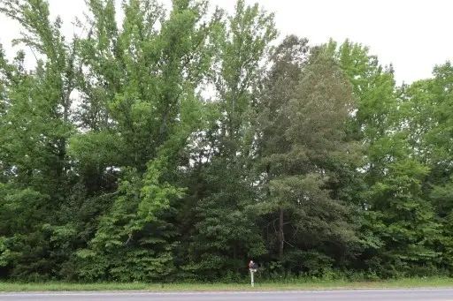 1183 Highway 96 N, Fairview, TN 37062 - Image #2