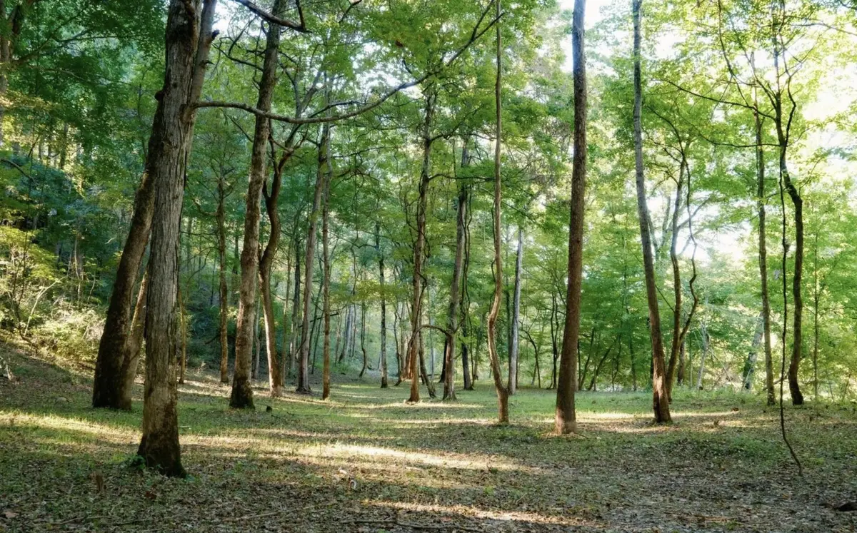 9 Sturgeon Creek Road, Cedar Hill, TN 37032 - Image #1